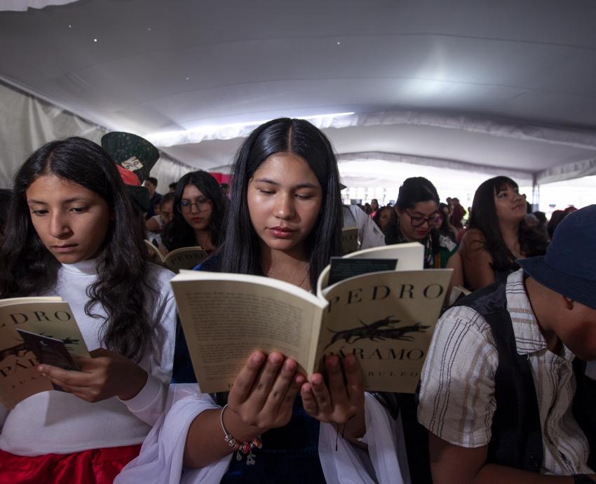 Mujer joven sentada leyendo libro